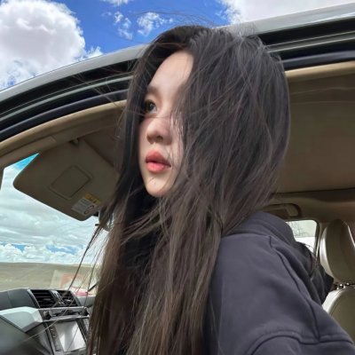 大贼与金丝猫