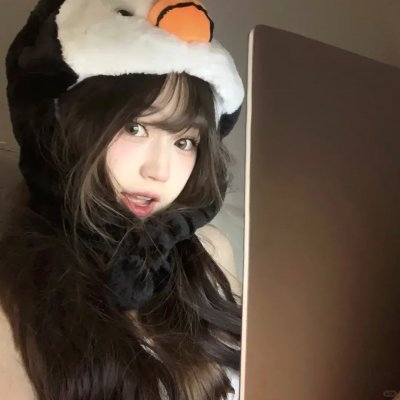山寨小萌主